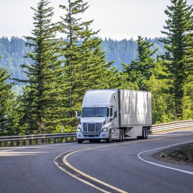 White truck driving past a forest